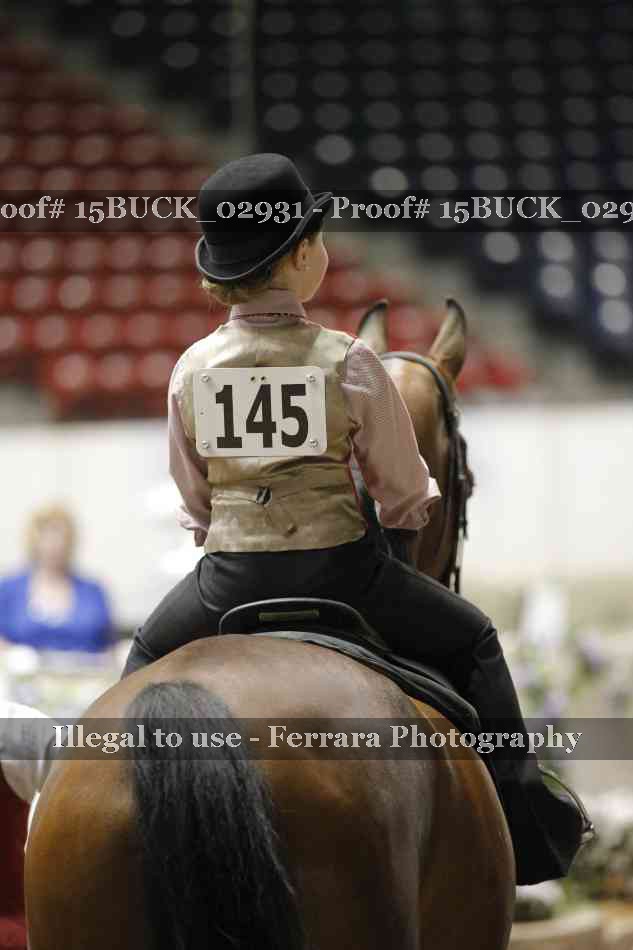 Proof 15BUCK_02931