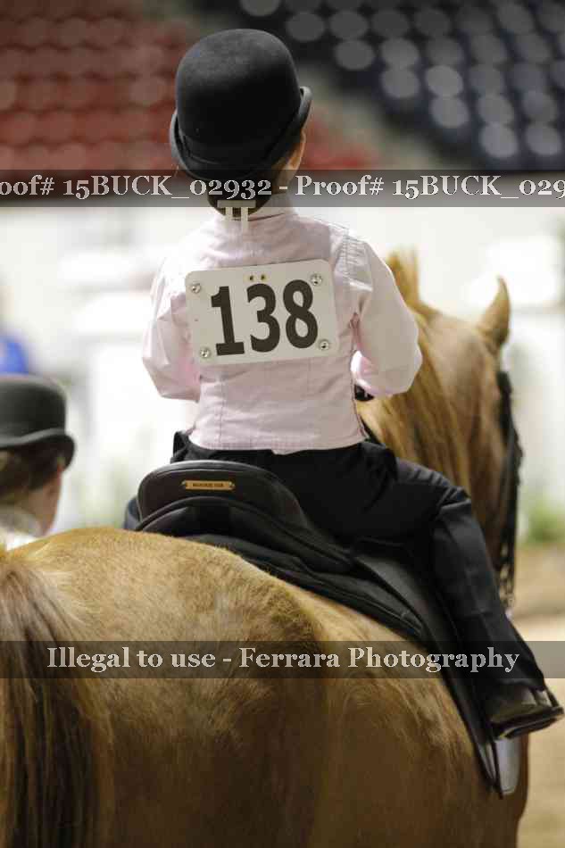 Proof 15BUCK_02932