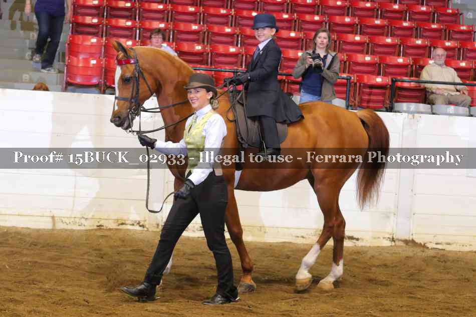 Proof 15BUCK_02933