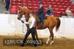 15BUCK_02933 proof