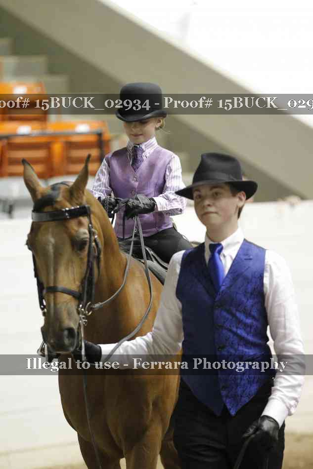 Proof 15BUCK_02934