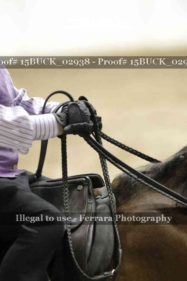 Proof 15BUCK_02938