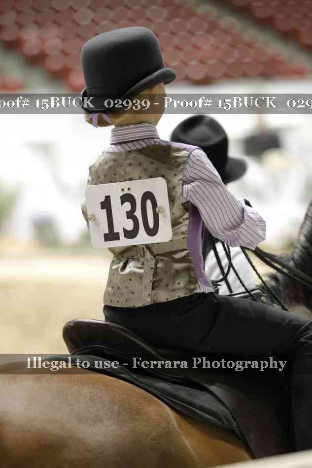 Proof 15BUCK_02939