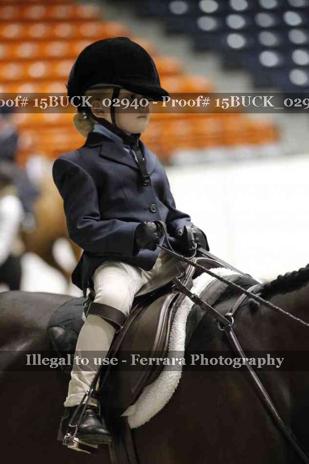 Proof 15BUCK_02940