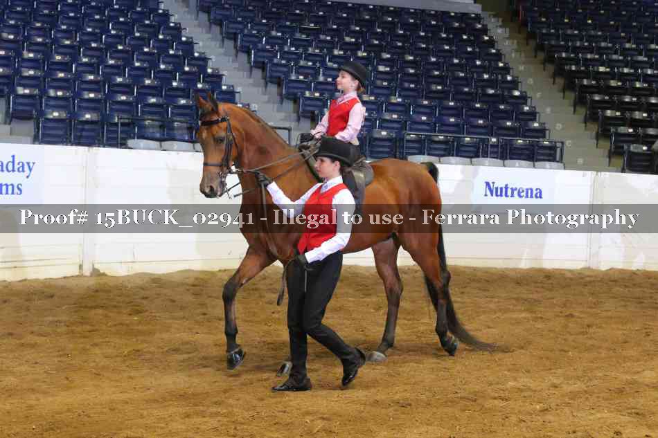 Proof 15BUCK_02941