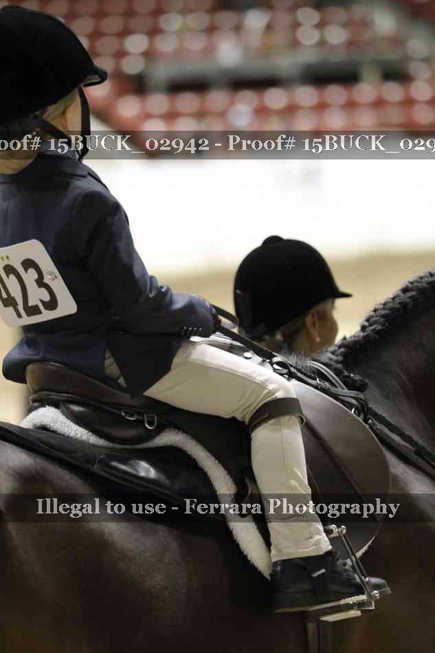 Proof 15BUCK_02942