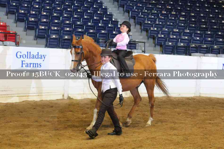 Proof 15BUCK_02943