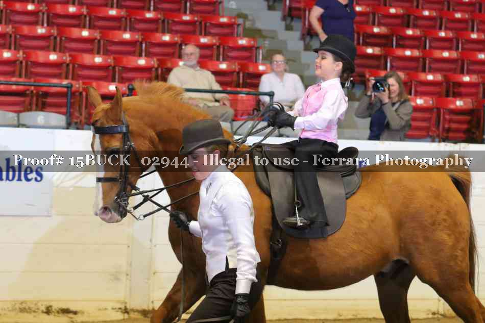 Proof 15BUCK_02944