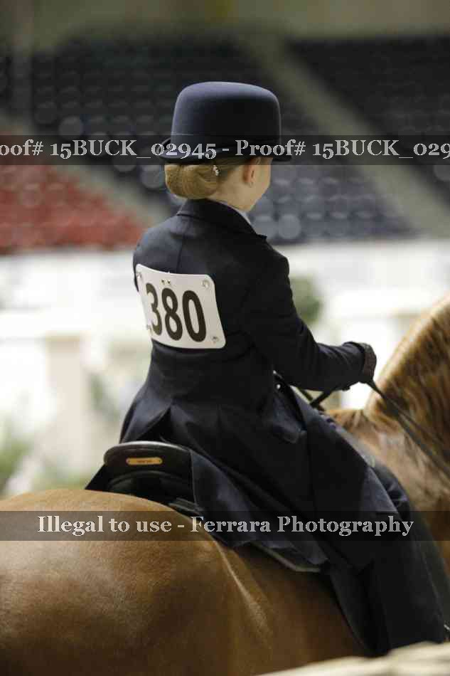 Proof 15BUCK_02945