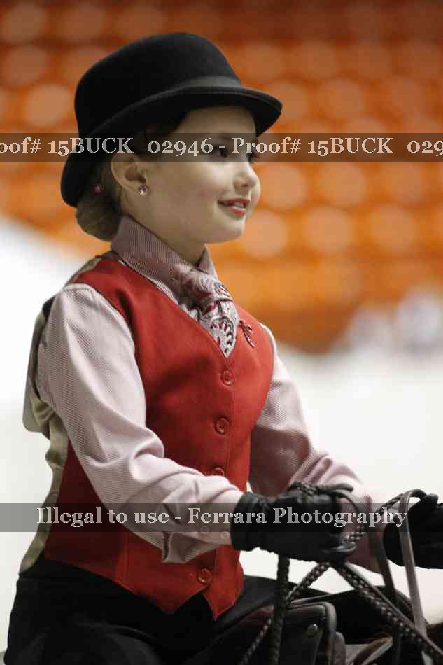 Proof 15BUCK_02946