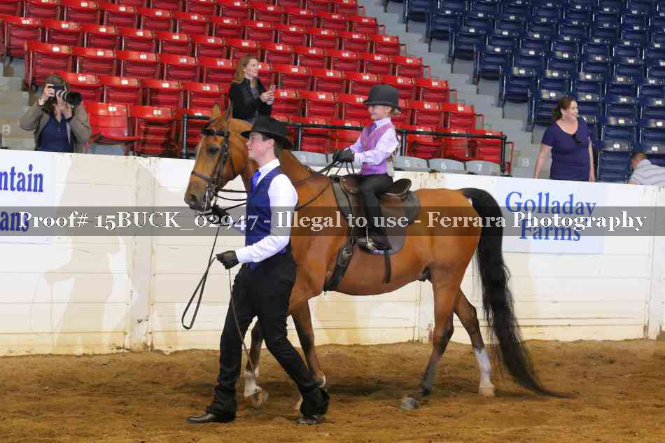 Proof 15BUCK_02947