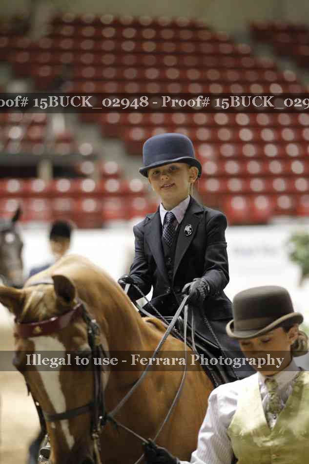 Proof 15BUCK_02948