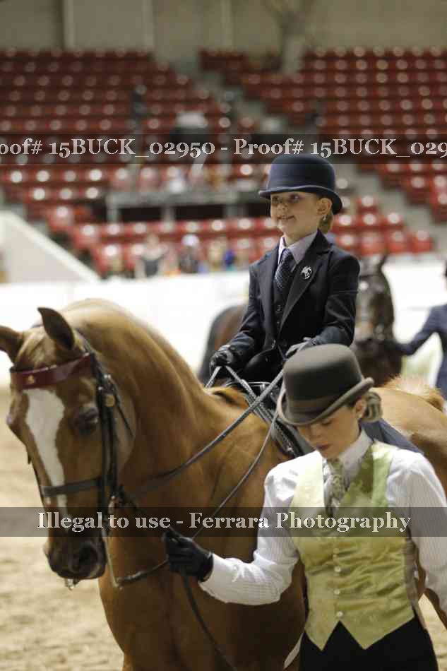 Proof 15BUCK_02950