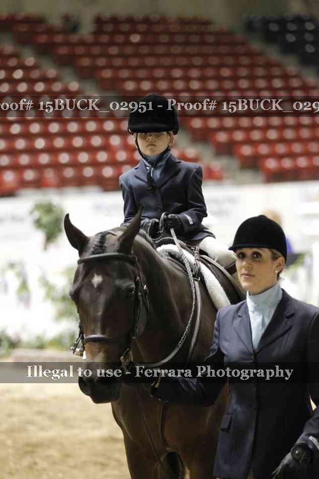 Proof 15BUCK_02951