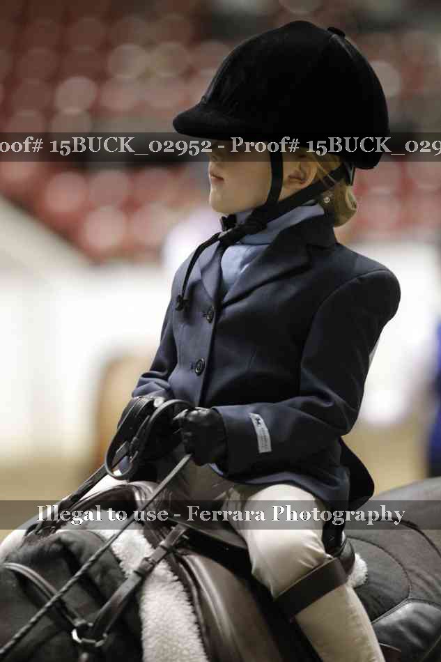 Proof 15BUCK_02952