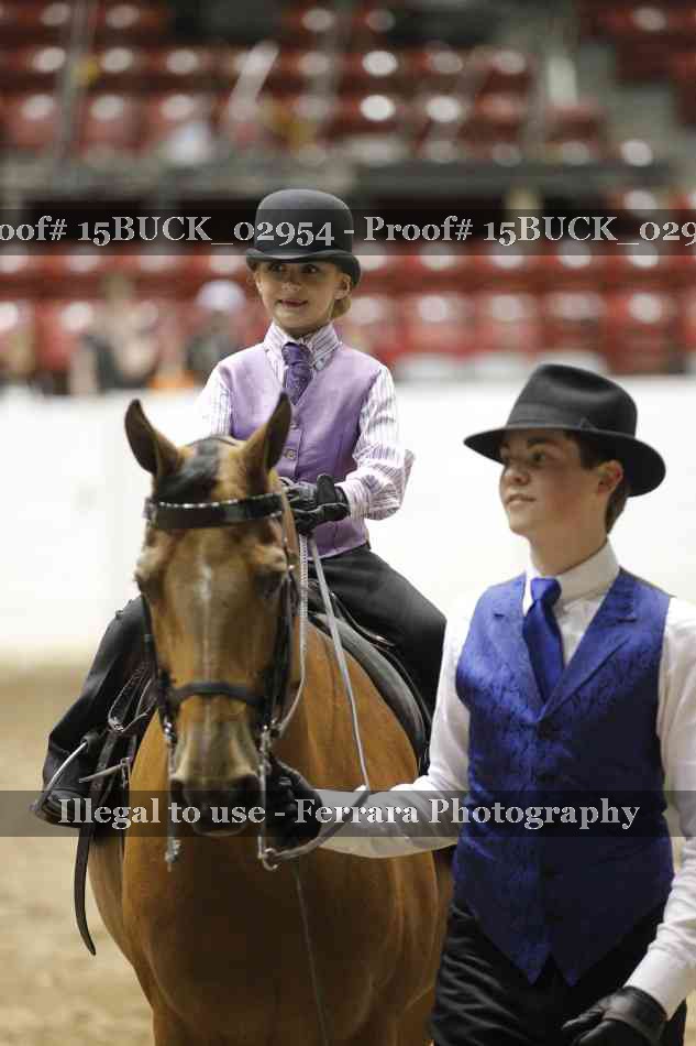 Proof 15BUCK_02954