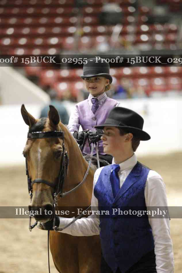 Proof 15BUCK_02955