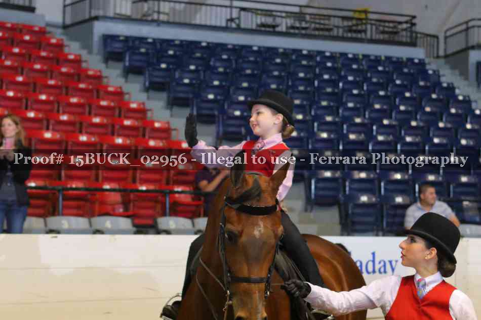 Proof 15BUCK_02956