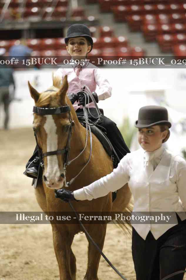 Proof 15BUCK_02957