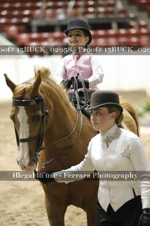 Proof 15BUCK_02958