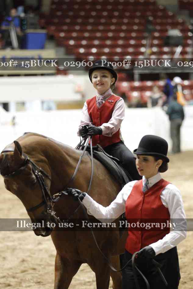 Proof 15BUCK_02960