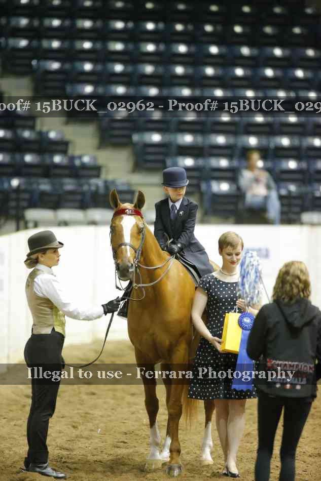 Proof 15BUCK_02962