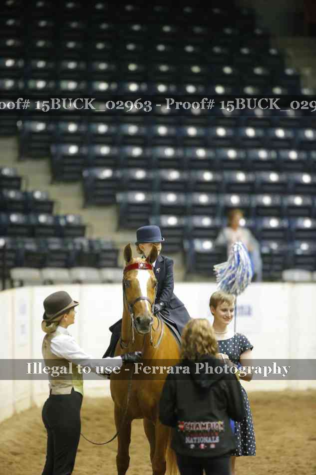 Proof 15BUCK_02963