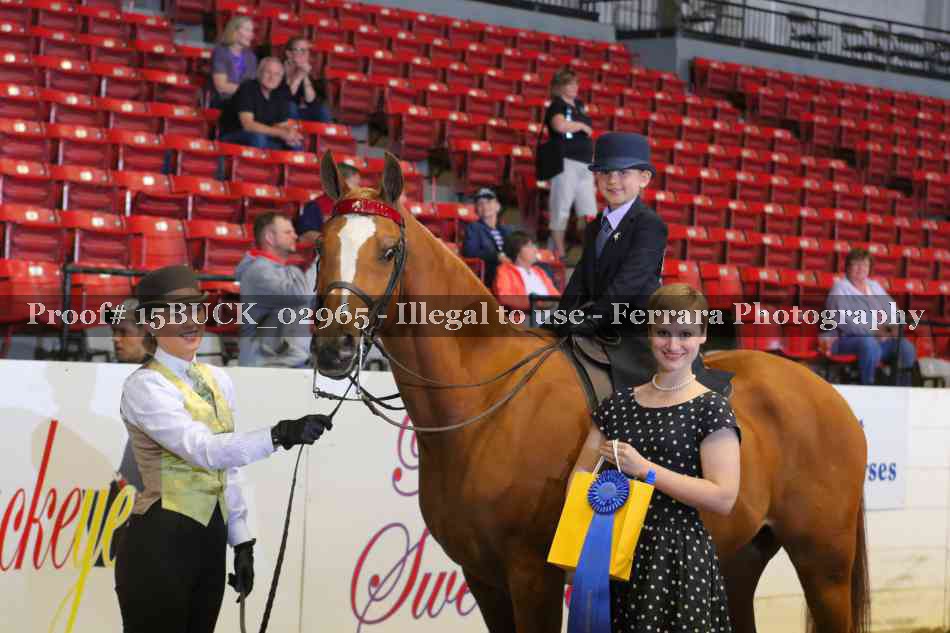 Proof 15BUCK_02965
