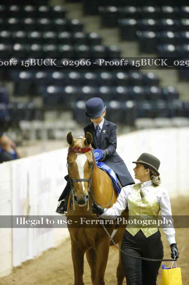 Proof 15BUCK_02966