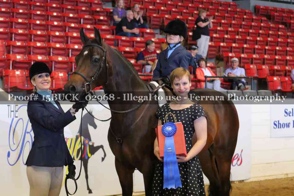 Proof 15BUCK_02968