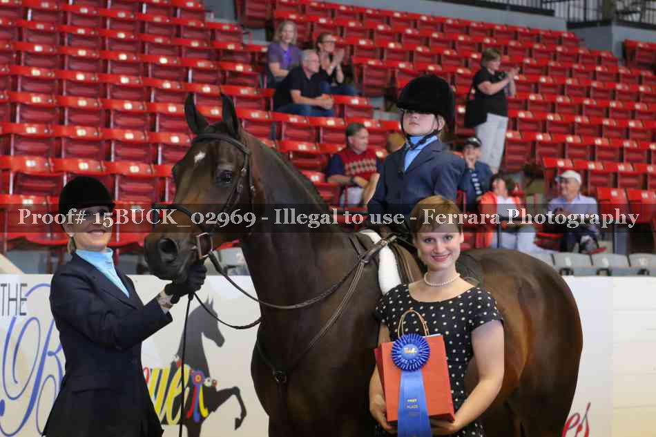 Proof 15BUCK_02969