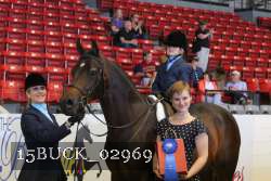 15BUCK_02969 proof