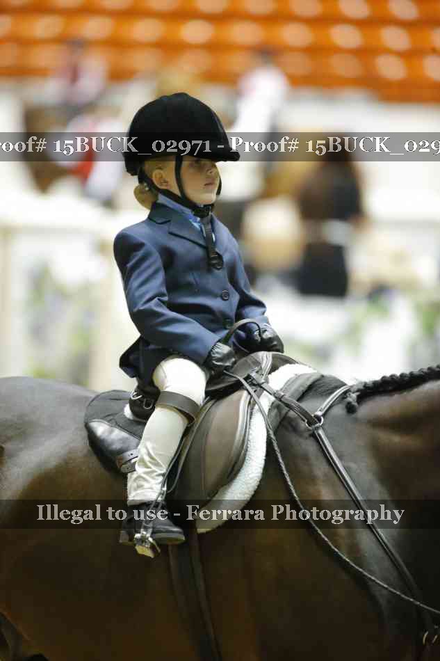 Proof 15BUCK_02971