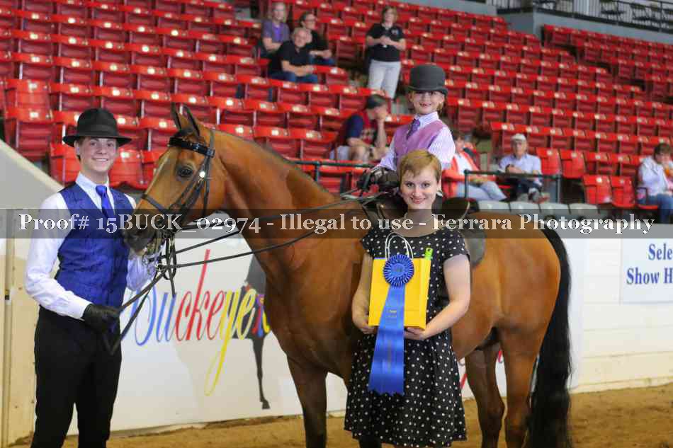 Proof 15BUCK_02974