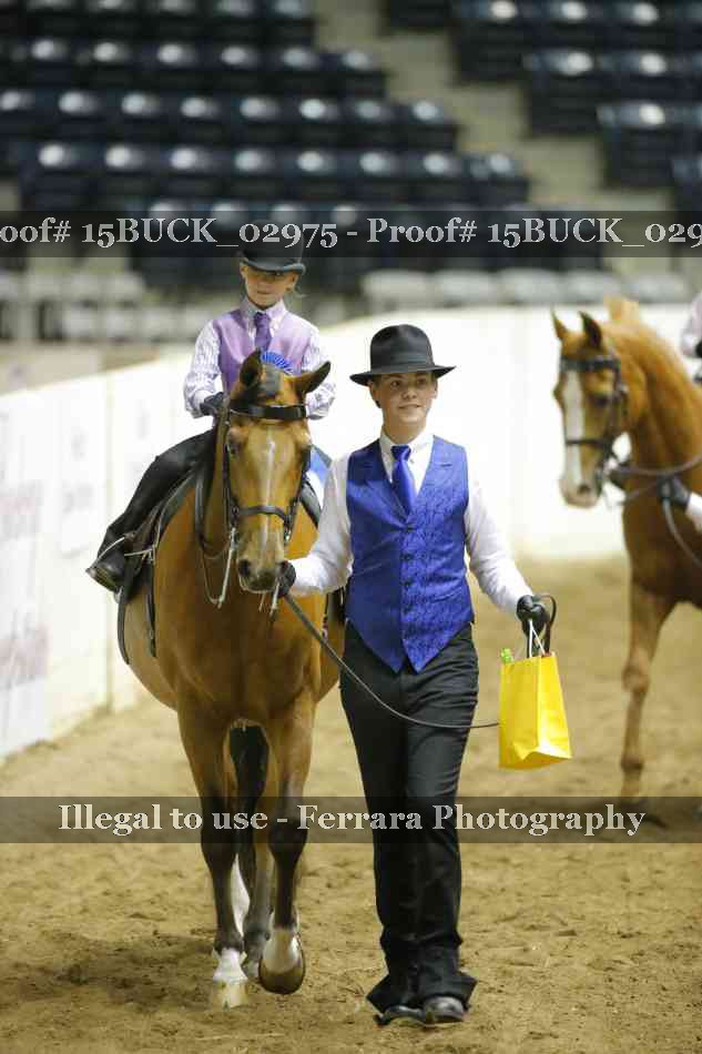 Proof 15BUCK_02975