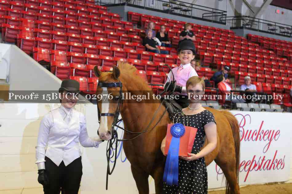 Proof 15BUCK_02976