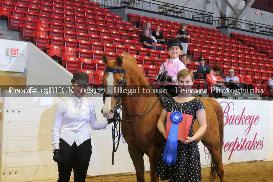 Proof 15BUCK_02977