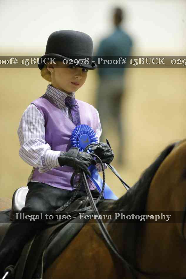 Proof 15BUCK_02978