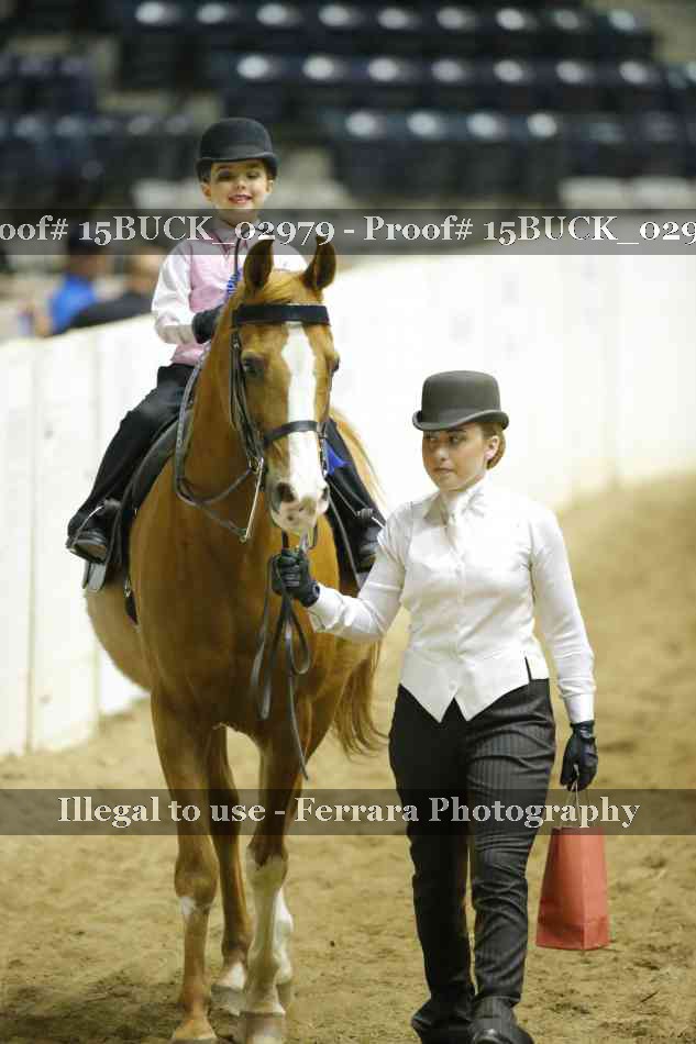 Proof 15BUCK_02979