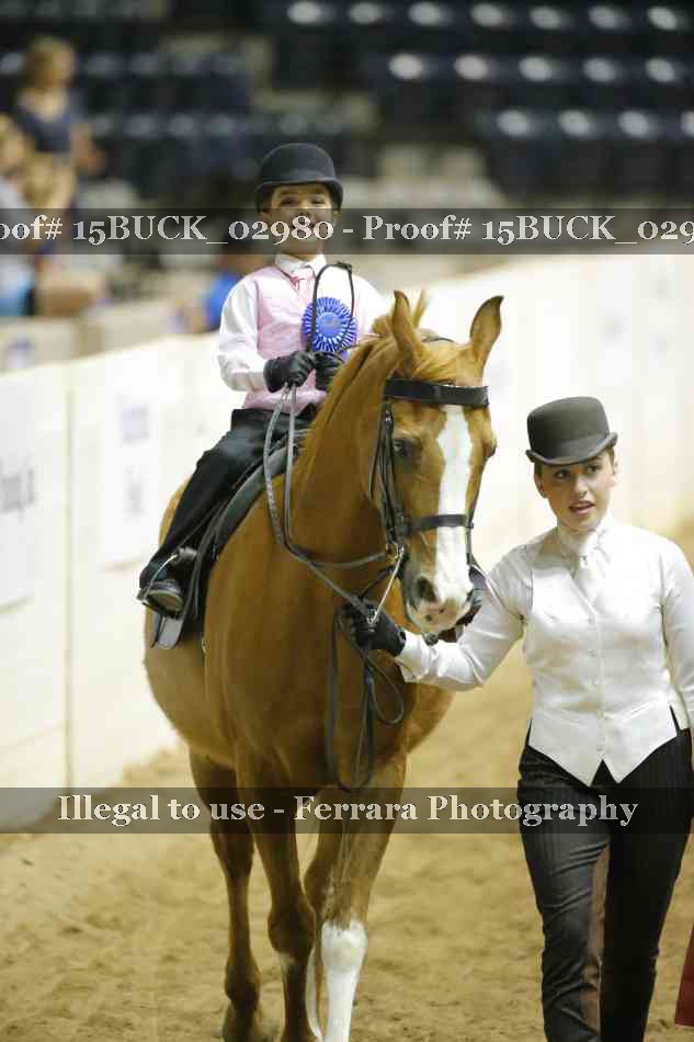 Proof 15BUCK_02980