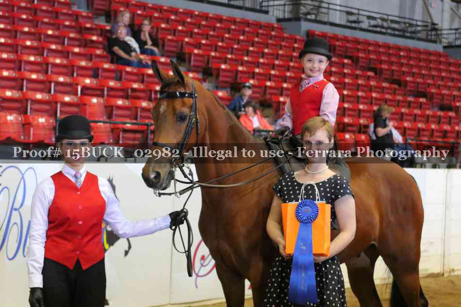 Proof 15BUCK_02982