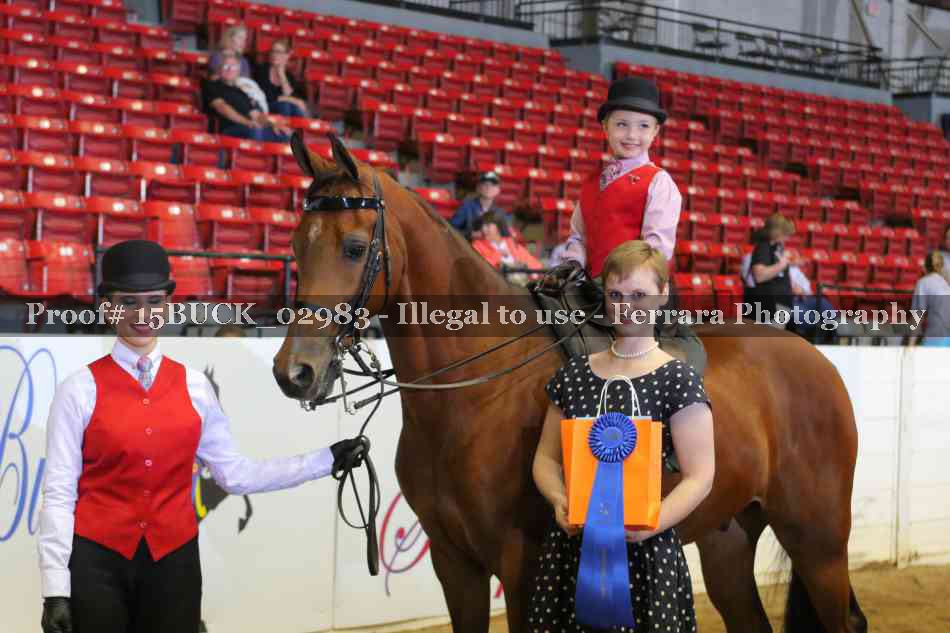 Proof 15BUCK_02983