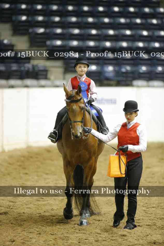 Proof 15BUCK_02984