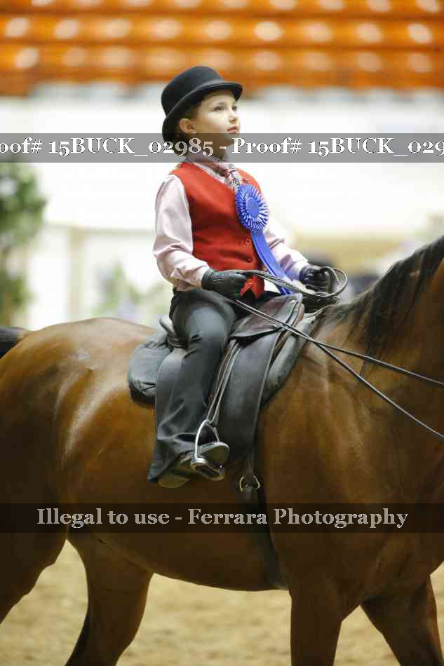 Proof 15BUCK_02985