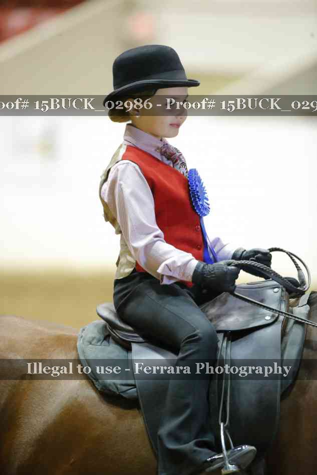Proof 15BUCK_02986
