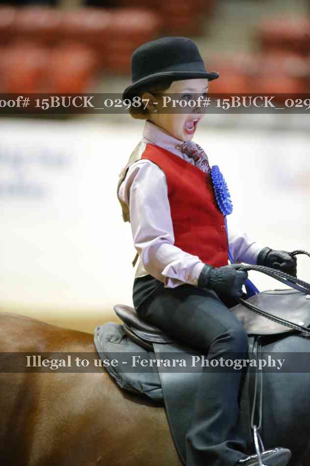 Proof 15BUCK_02987