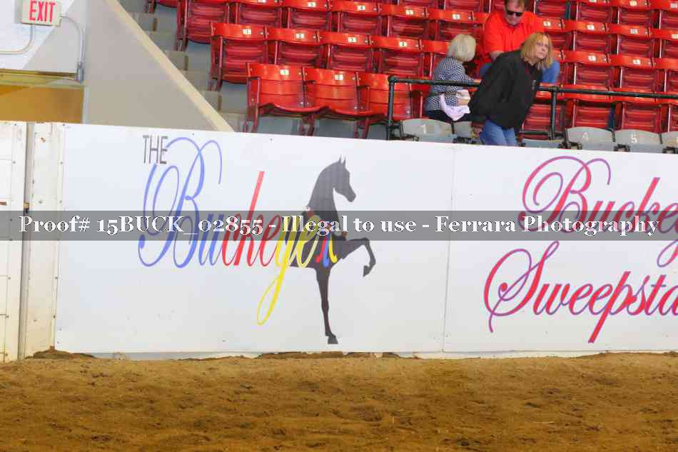 Proof 15BUCK_02855