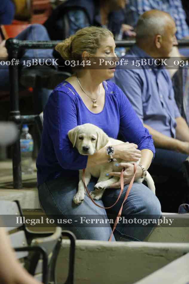 Proof 15BUCK_03142