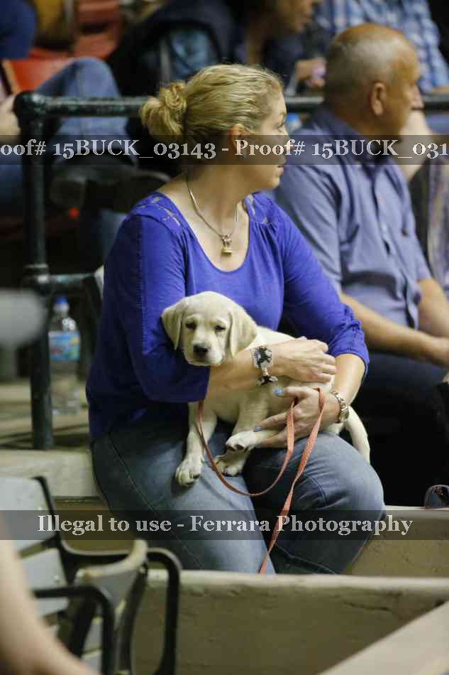 Proof 15BUCK_03143