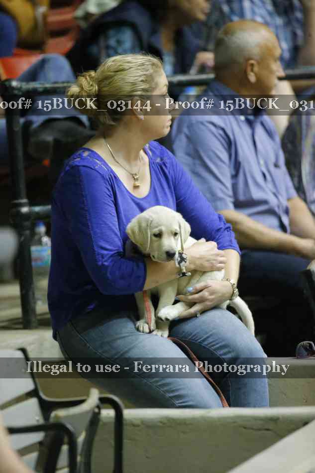 Proof 15BUCK_03144